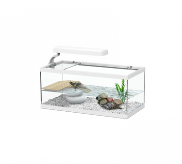 Tortum Turtle Tank 40 x 20 x 16 cm, White